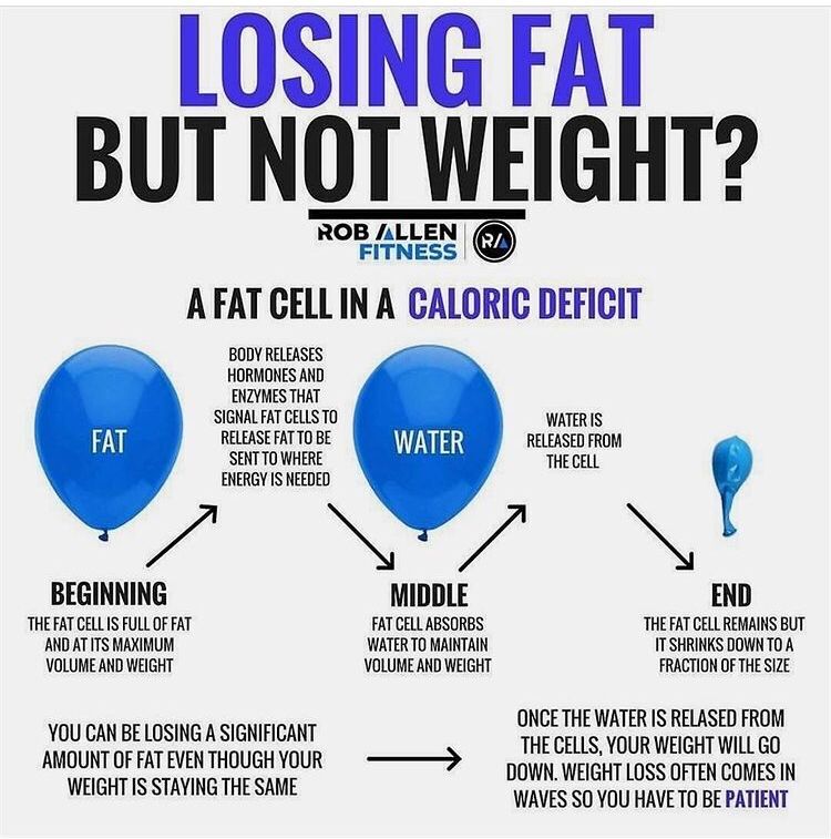 Informative ! Yes or Not?

Follow <a href="/innovation/">Observer Business</a>.here

#losingfat #losingweight #weightloss #weightlossjourney #fatloss #fitness #weightlosstips #weightlosscommunity #weightlosssupport #caloriecounting #burningfat #weightlossstruggle #fatlossplan