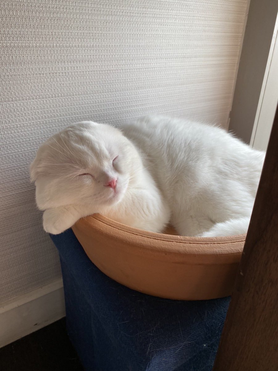 เดกอนุบาล ต้องนอนกางงัน