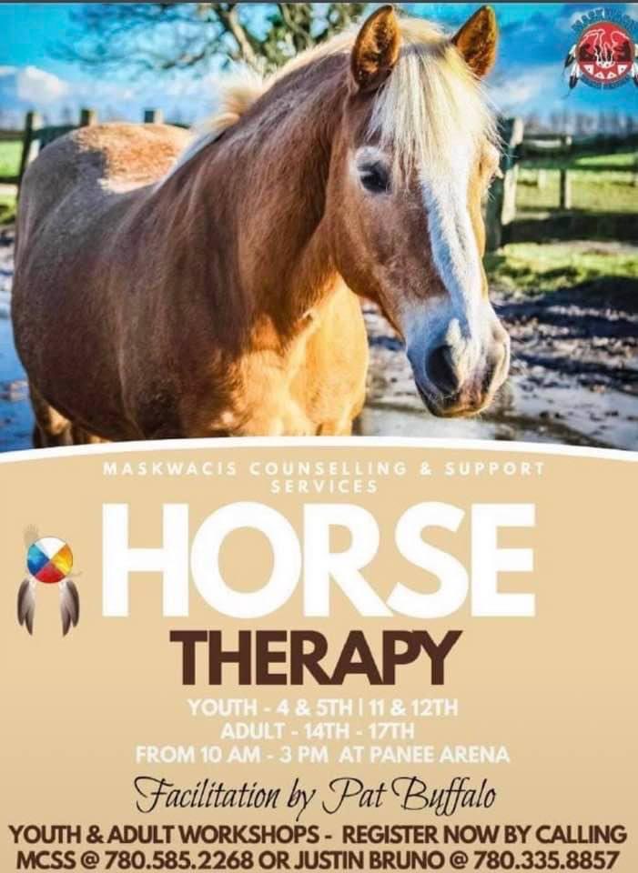 realcreewarrior's tweet photo. #EquineAssitedLearning Come heal, release the anger, sadness & fears caused by trauma @EdmontonOilers @edmontonpolice @UnitedNurses @CupeAB @RCMPAlberta @YourAlberta @NATO @treaty8 @treaty7 @Treatysix04 https://t.co/QbtbnOwbJa