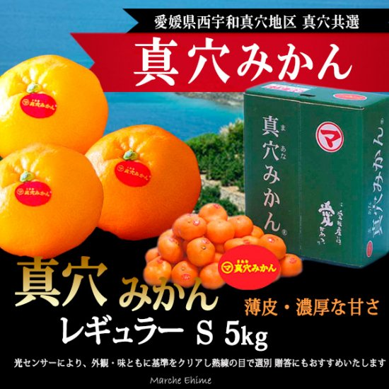 ブランドみかん