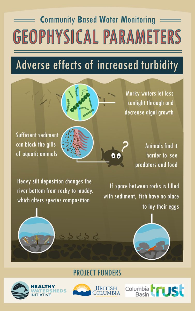 ElkRiverBC's tweet photo. What happens to organisms when you have too much sediment in the water? 

This project is funded by @TheTrustInfo, @HealthyWatersBC, and BC government’s Gaming fund. 

#ecology #science #scicomm #scitwitter #biology #academicchatter #biotwitter #infographic #learning https://t.co/Vyn448PruN