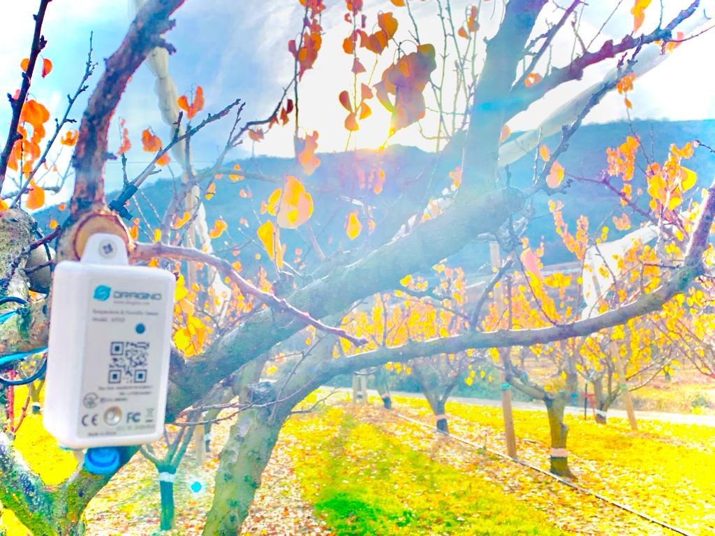 Enchanté d'intervenir sur ce séminaire aujourd'hui
Vous pouvez suivre les interventions sur la chaine Youtube de la Chaire ( lien dans le lien)
Belle journée à tous !
agrotic.org/seminaire-agro…
#agtech 
<a href="/ChambagriFrance/">Chambres d'agriculture France</a> 
<a href="/MesSatimages/">MesSatimages</a> 
<a href="/MesParcelles_/">MesParcelles</a>