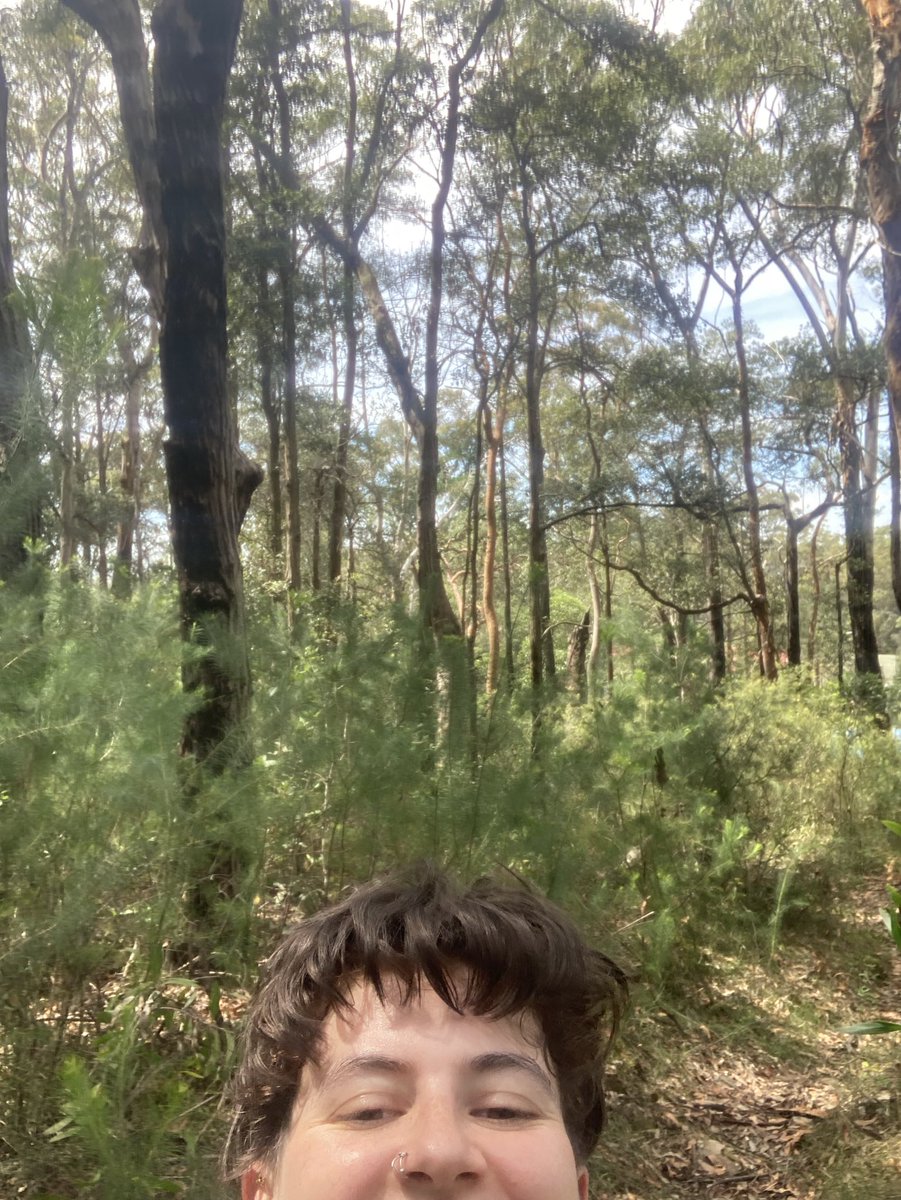olive_ecology's tweet photo. Today was great! No creatures wanted to fight, it was sunny, and bushcare volunteers were de-weeding. I’d almost become accustomed to everything going wrong 🐜 #science #ecology #noleechestoday #fieldworkchronicles https://t.co/ejxKzl5sOe