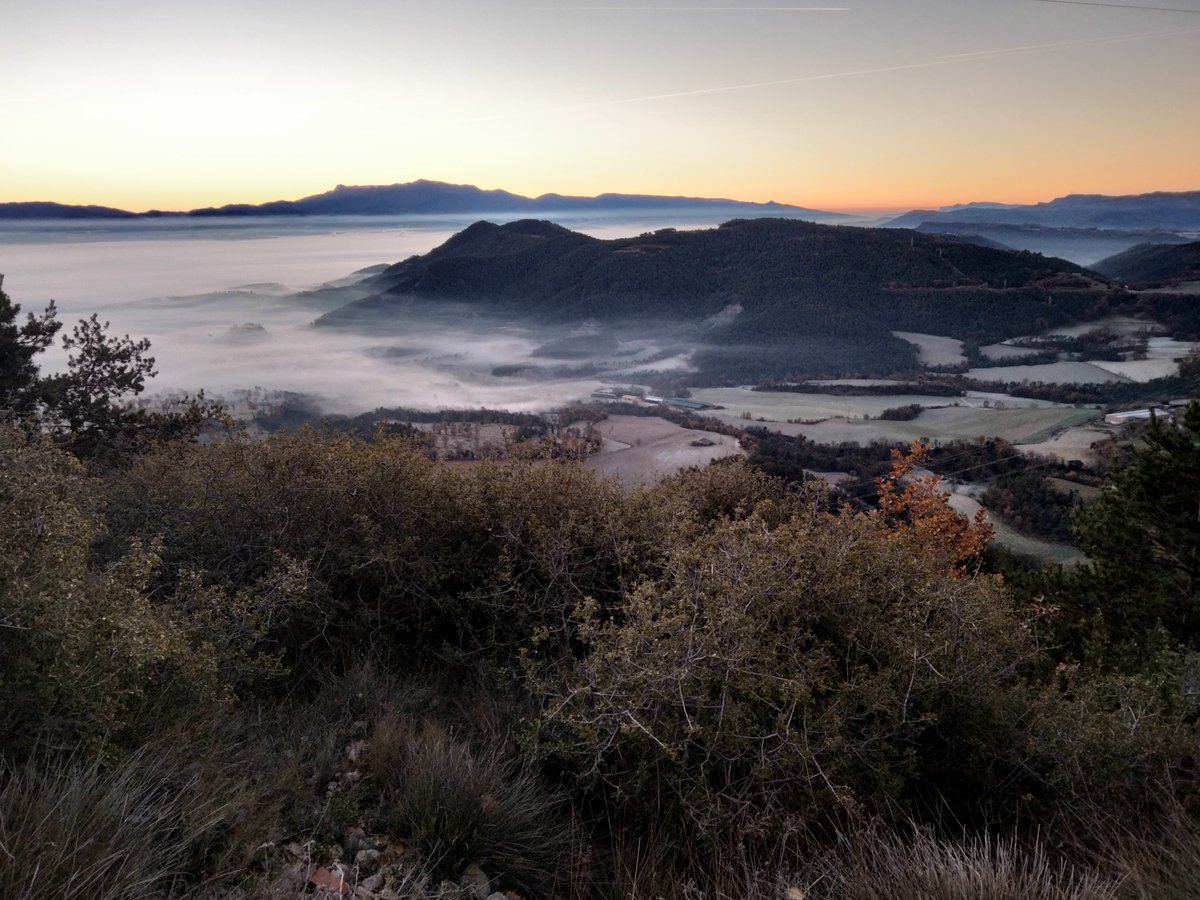 danimatiques's tweet photo. Bon dia Catalunya! 
Que el sol surti avui per damunt de les boires de la vostra vida. https://t.co/Iz8JQ8X3WF