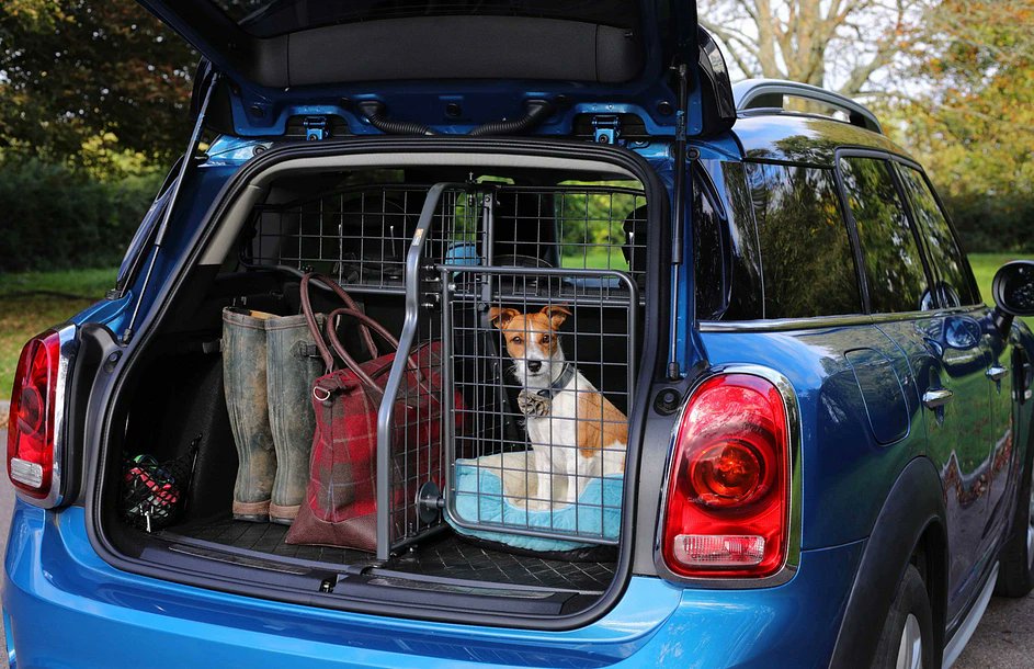 dotty4paws's tweet photo. Together is how all the best days are spent 🐾♥️
Sniff out our latest #blog all about our @Travall_UK #dogguard to find out just why they're the dog's danglies when it comes to #dog safety
https://t.co/kpJ97LX0Ul …
#Earlybiz https://t.co/KqU8Embl1R