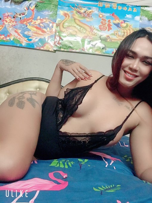 iamyourpolla