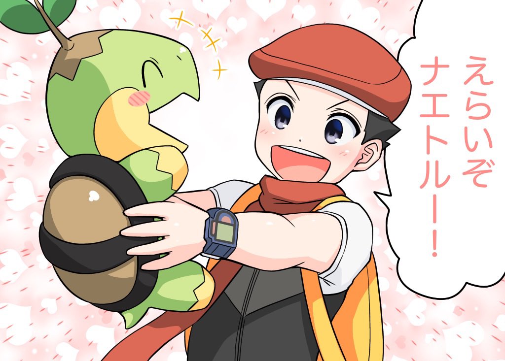 ナエトル4コマ② 