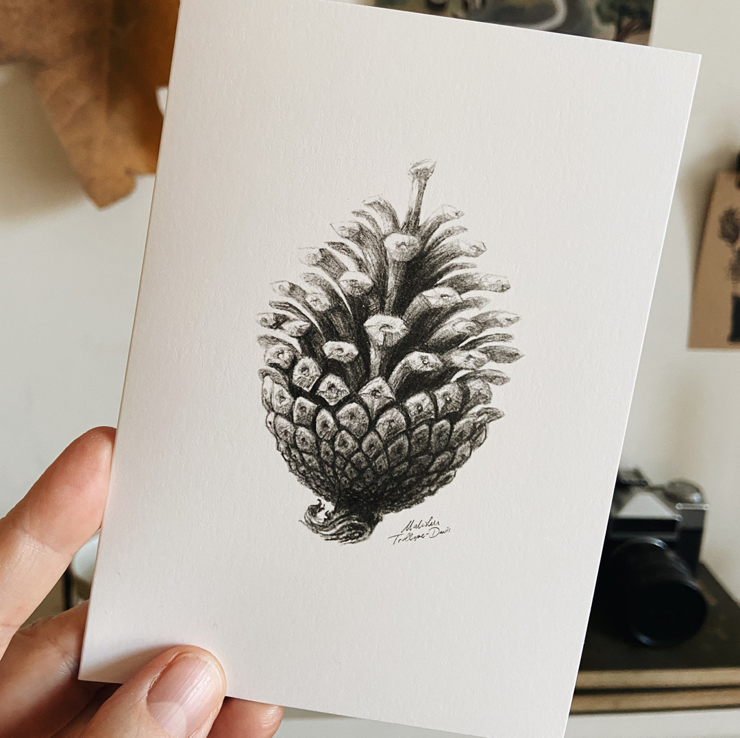 ‘Last order date’ 🎄 There are only 4 more days to go until our online shop closes for 2021. Our last day for ordering in time for Christmas is Friday, 17th December #shopindie #justacard lewesmapstore.co.uk