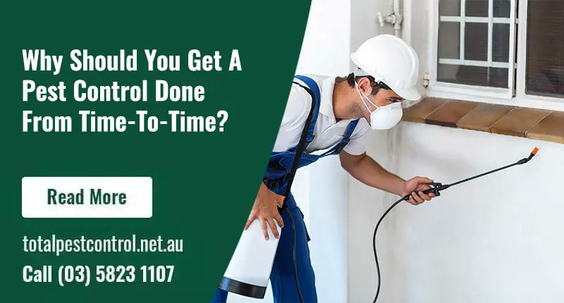 total_pest's tweet photo. Professional Pest Control Services Raywood https://t.co/PnlxxN9JD5 #PestControlServicesRaywood #PestControlRaywood #pestcontrolservices #PestControlShepparton #PestControlServicesShepparton #TotalPestControlShepparton #PestControlShepparton #RodentPestControlShepparton https://t.co/TB7oDpAvGy