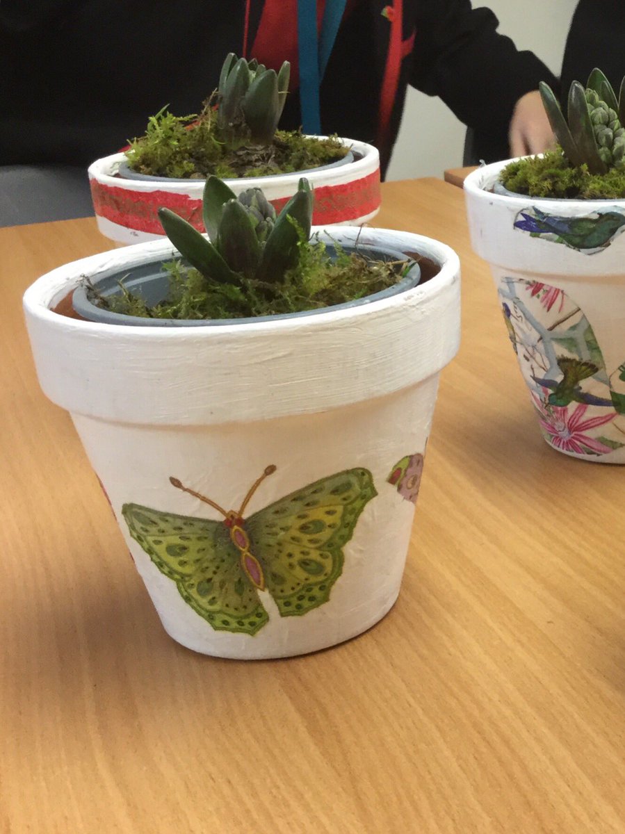 PipersForestSch's tweet image. Year 6 @PipersPrep finished their decoupage pot projects and planted them with hyacinths. What a great #Christmas project #skills #pipersfun #christmasiscoming