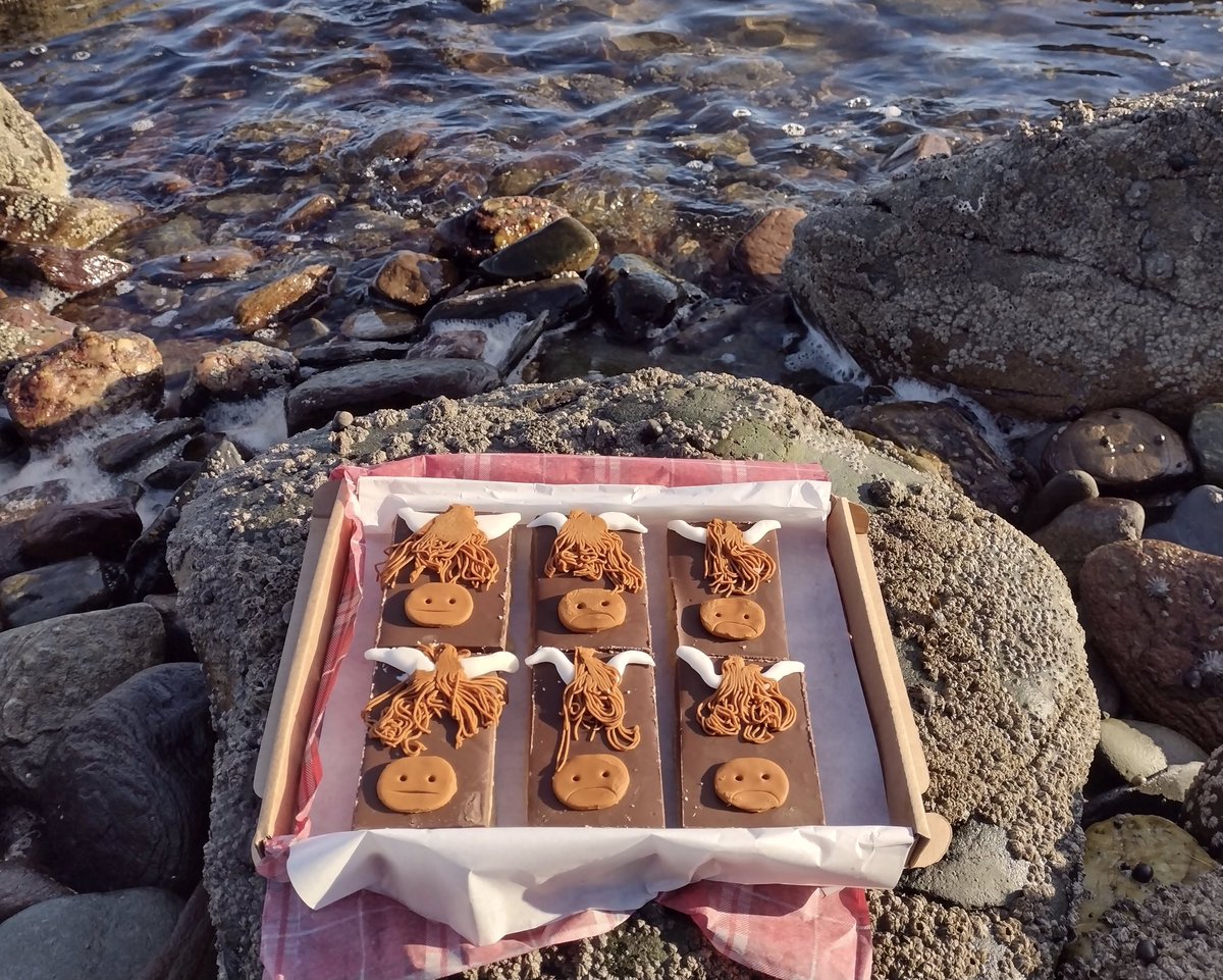 Happy #coosday ! What better day for a #HighlandCow treat. On sale now in my Etsy shop