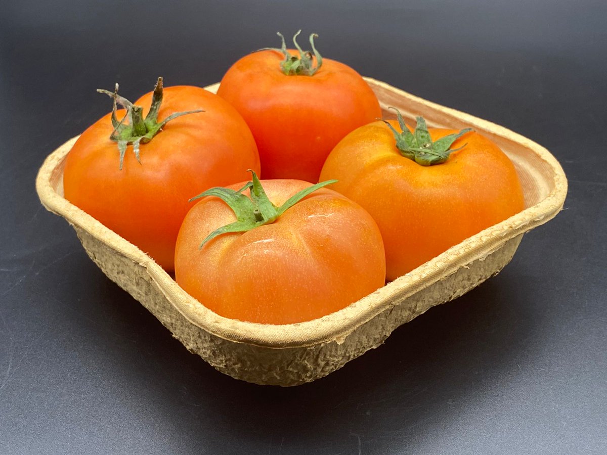 AAAGrowersLtd's tweet photo. You requested, We answered with this non plastic packaging coming soon.
100% Enviro-Friendly!
100% Recycled
100% Recyclable
100% Disposable
#packaging #nonplastic #environmentfriendly #agriculture #tuesdayvibe #TuesdayFeeling https://t.co/hhA6iqpEex