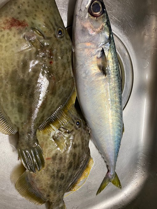 人生の中心に釣りがある美しさを知る映画 リバー ランズ スルー イットの名言と感想 Art Fishing