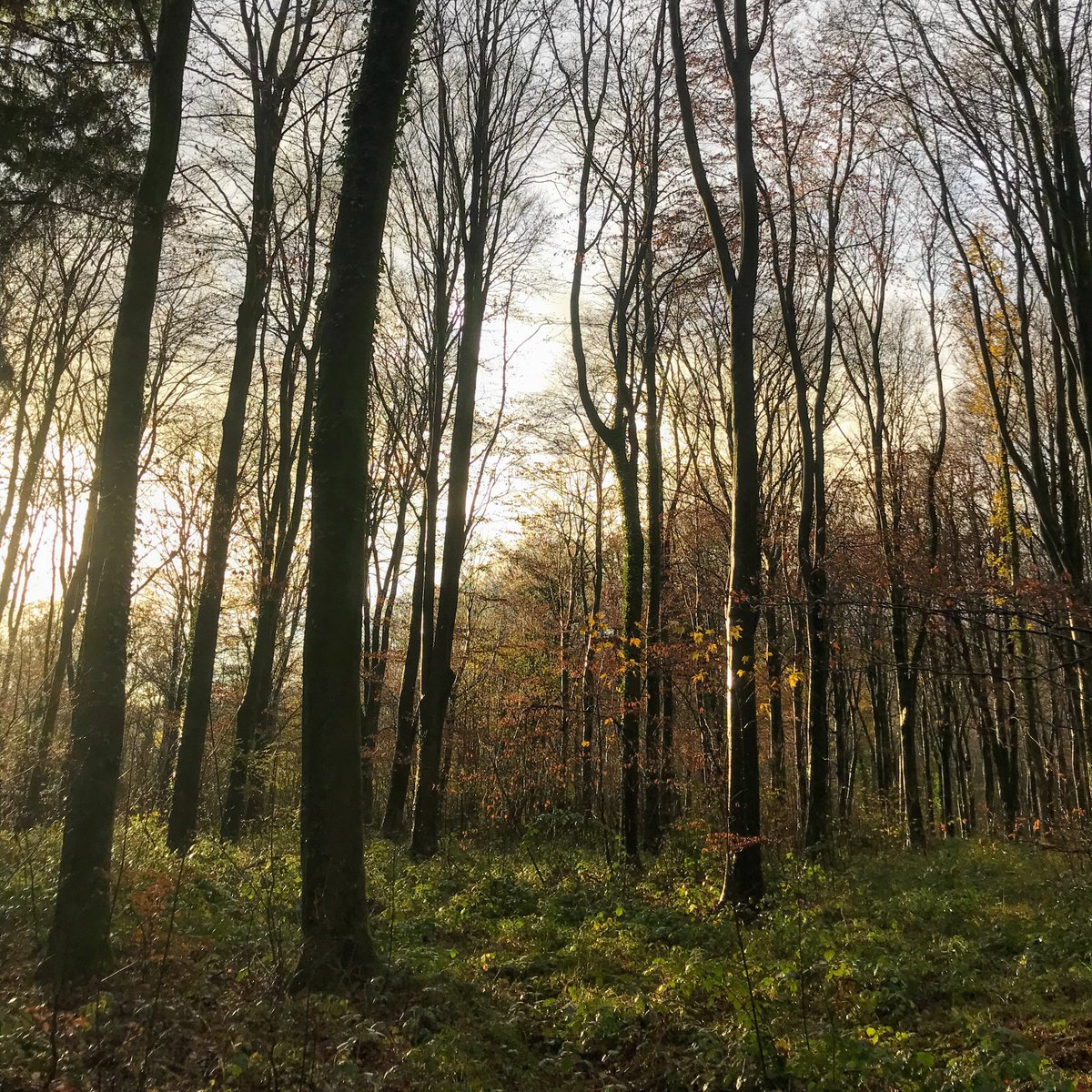 There's so much to do at this time of year that it's easy to forget to look after yourself.    Take a moment to relax.  Go for a wander with a warm drink in your hands &amp; enjoy the beauty that is around you.    #christmas #mindfulness #reusablecup