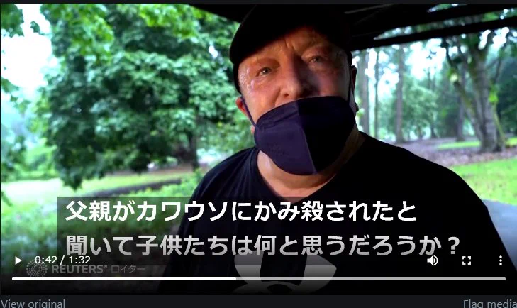 @abc37883046 「まあ、カワウソうに」 
