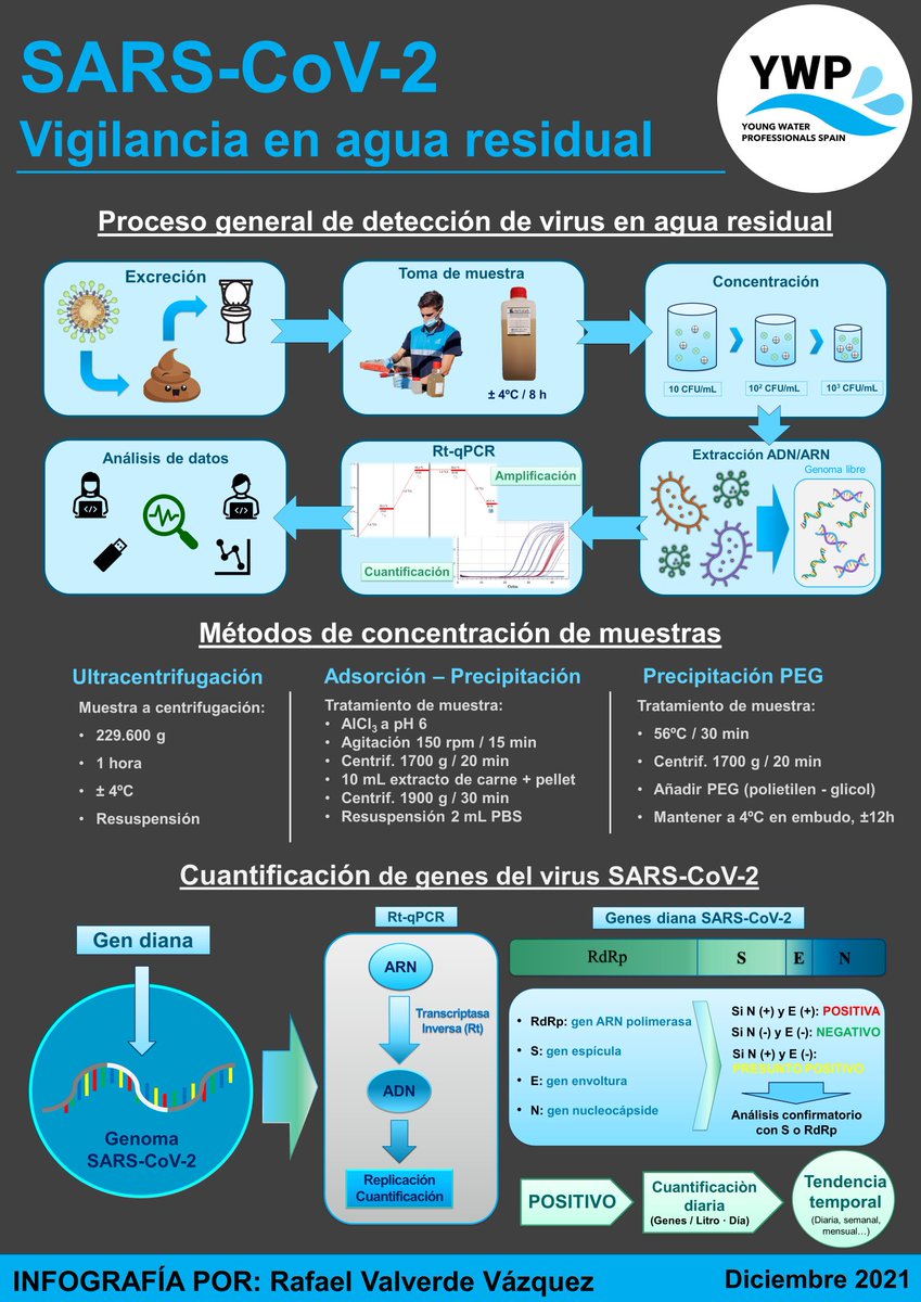 YWP Spanish Chapter tweet media