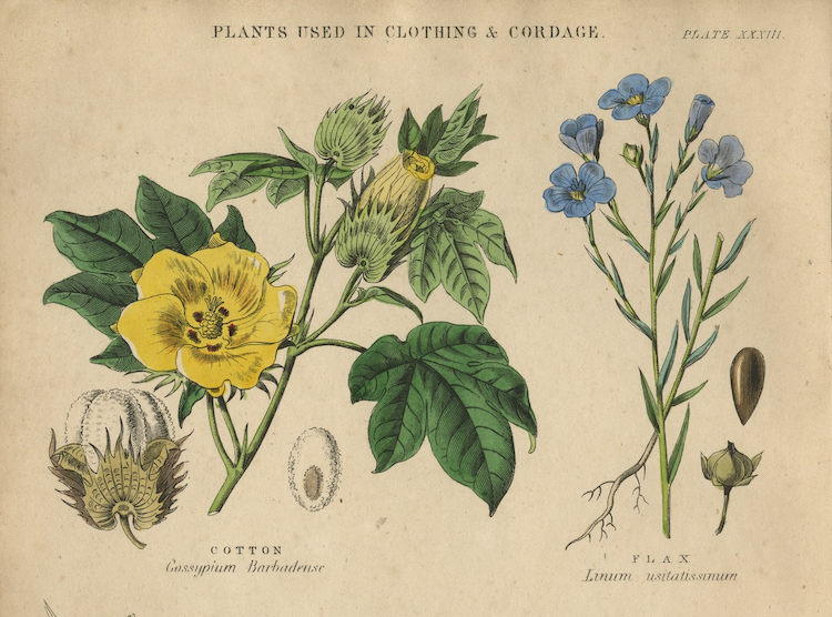 Hash Marihuana & Hemp Museum tweet media