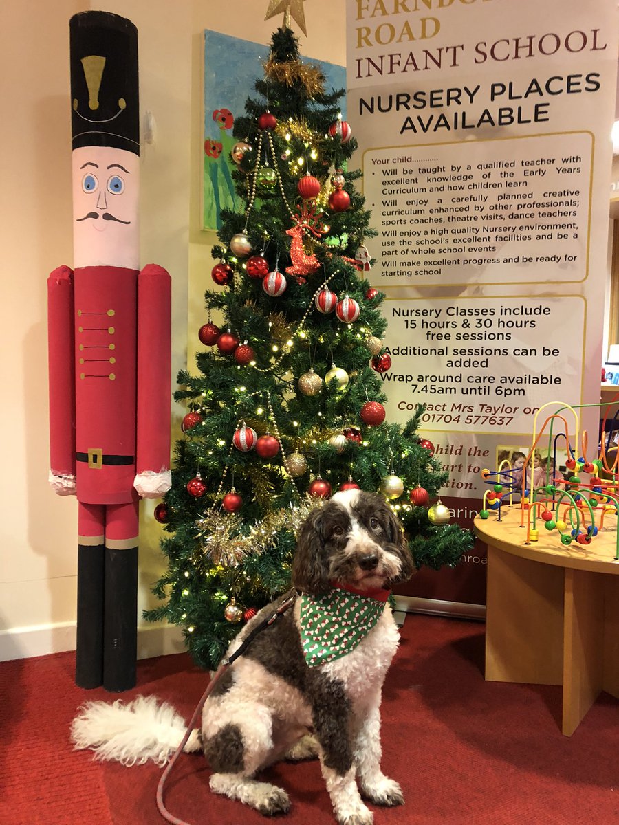 ReadingArchie's tweet image. Already in school awaiting a reading session with children who have put in super effort in their reading. It’s feeling Very Christmassy! @PetsAsTherapyUK @FrisInf