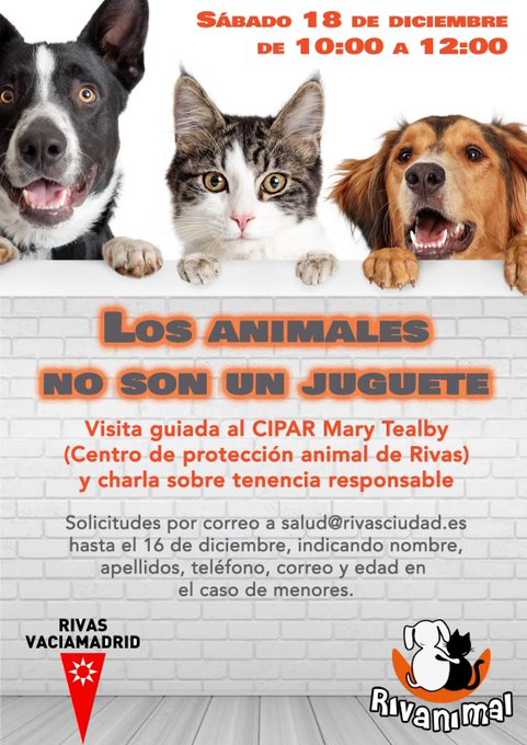 Foto cedida por Ayuntamiento de Rivas