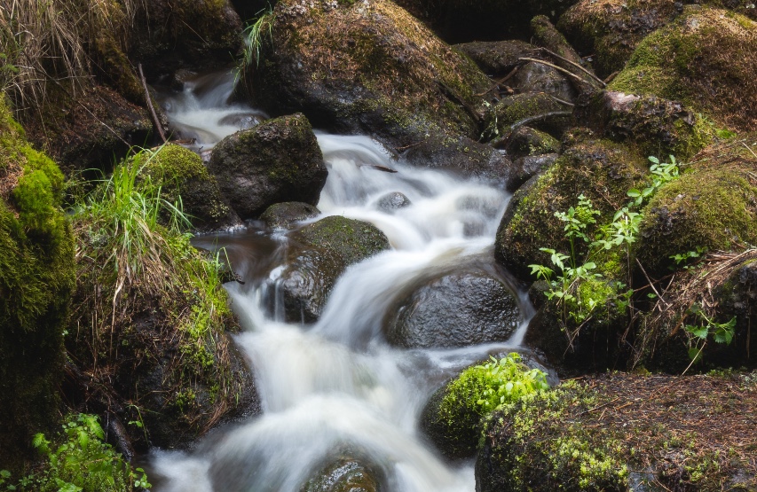 lcsd_community's tweet photo. Join us on our new online course, Exploring Christian Spirituality! 12 Monday evening sessions exploring how to integrate prayer with life, reflecting on our personal spiritual journey and more! Led by Nicola Mason and @EmilyRMill - book here: https://t.co/OWdkHFTsCm https://t.co/Wb74UpRXQy