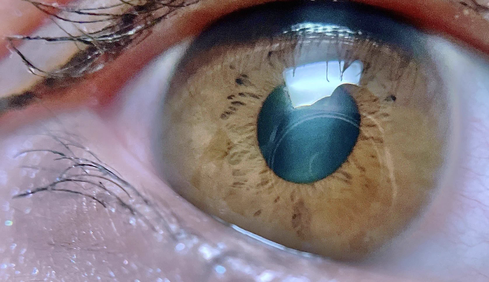 @orange_mammam 自分の分からないんだけど😂これなんだろ？🤣🤣(ドアップ🙏🏻💦) 