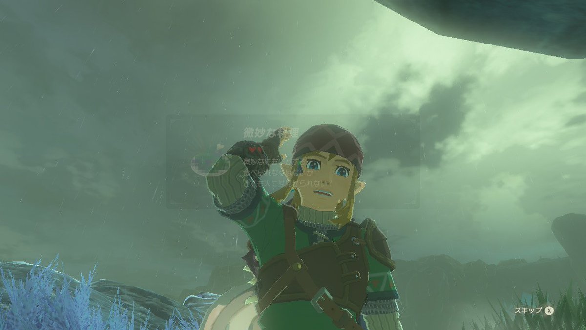 Choose a botw Link pic to answer:). pic.twitter.com/35xWwQuY8R. 