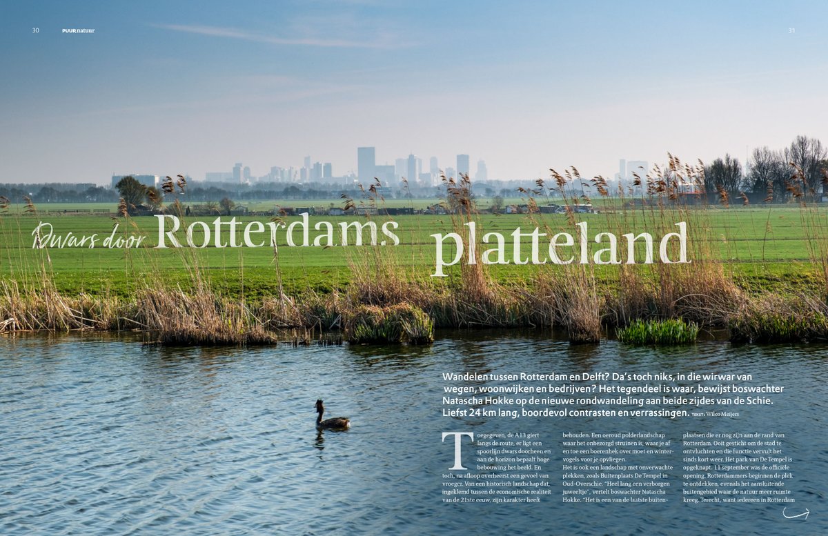 NMjuriaan's tweet image. Deze week valt ons ledenblad @PuurNatuur weer op de mat bij onze leden. Dit keer met een prachtige wandeling met boswachter Natascha over het Rotterdams platteland! Voor maar 3 euro per maand ben je ook lid --&amp;gt; natuurmonumenten.nl/leden/rn