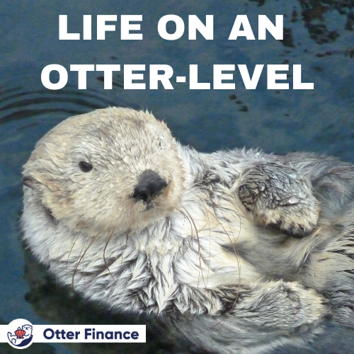 Epicurus33's tweet photo. Come join us! @otterclam #otterapy #defi #nft #ohmfork $CLAM #MOGMI https://t.co/IDzBcccqBF