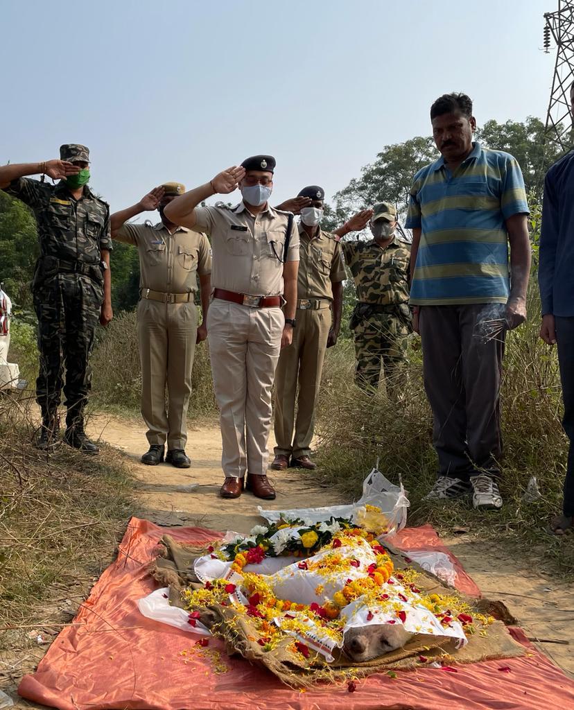 Bargarh district K9 Squad tracker dog “Jyoti” died yesterday after serving for 13 years. 
She had a long and successful career as a police dog.
We bid a tearful adieu.
<a href="/odisha_police/">Odisha Police</a> 
<a href="/DGPOdisha/">DGP, Odisha</a>
<a href="/DIGPNRSAMBALPUR/">DIGPNR SAMBALPUR</a>