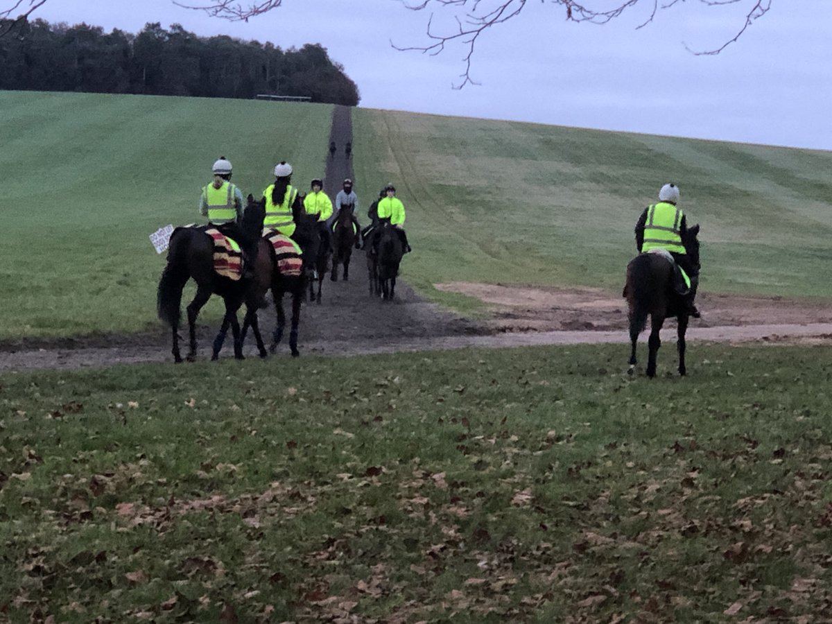 newmarketbets's tweet photo. Tuesday Morning walk..#RaceHorses #NewmarketHeath
π https://t.co/nKD2kLAgjH