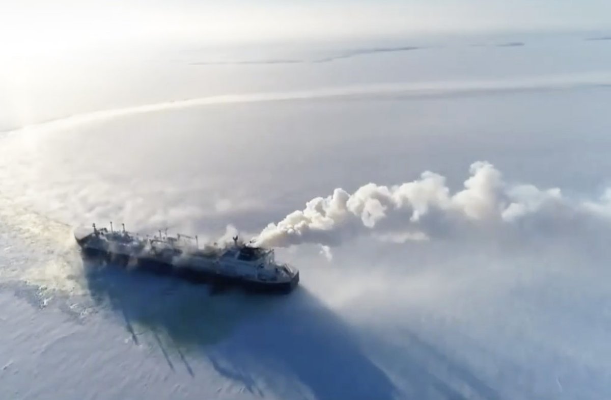 The Siberian Times tweet media