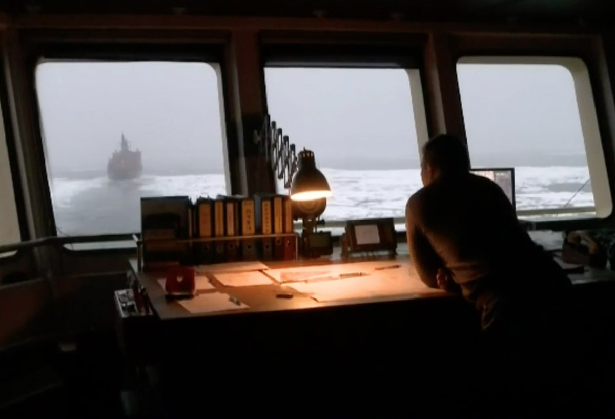 The Siberian Times tweet media