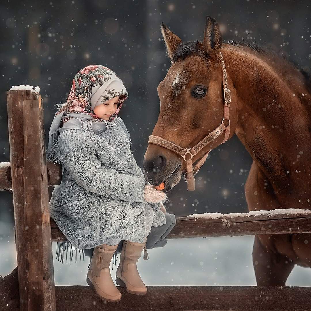 Aldona 🌹🌻🪷 (@koliberki) on Twitter photo 