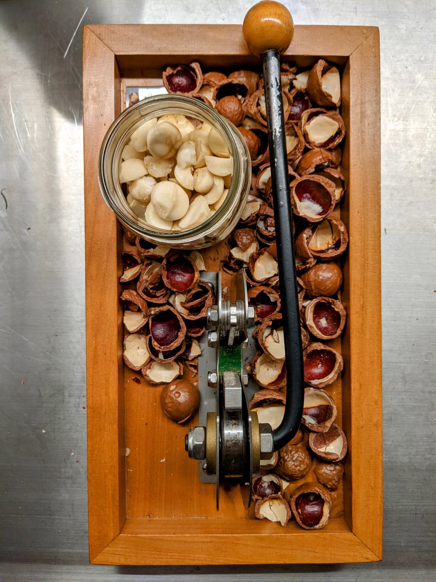 😋🌰