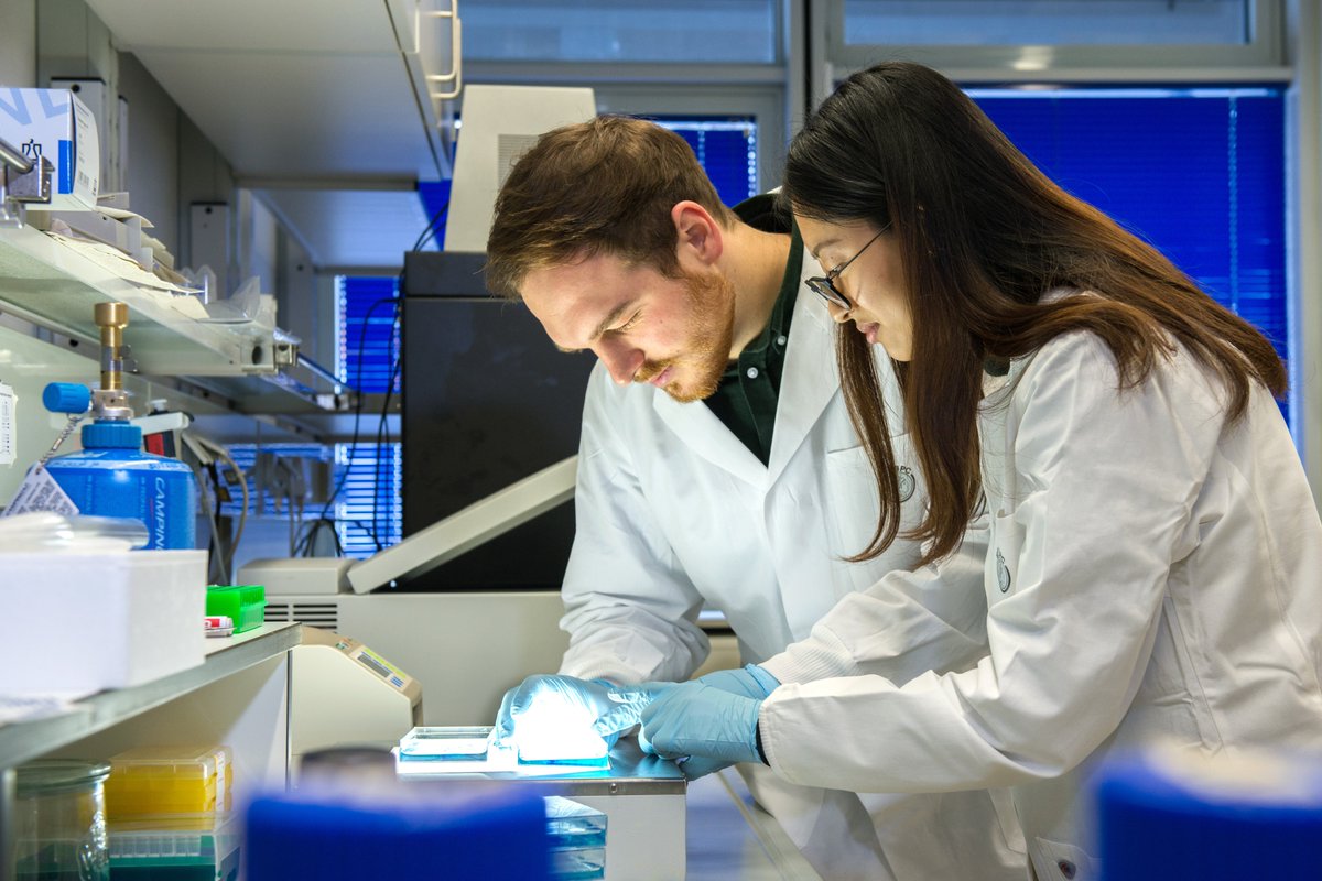 mpi_nat's tweet photo. The @IMPRS_GS combines experimental and computational methods to train PhD students in the field of genome science. They just received six more years of funding from the @maxplanckpress. Congratulations!🥂@uniGoettingen #MPIEM #mpids @DPZ_eu @gwdg @DZNE_de
https://t.co/6tH7eCnjXu https://t.co/02kVTGtdnP