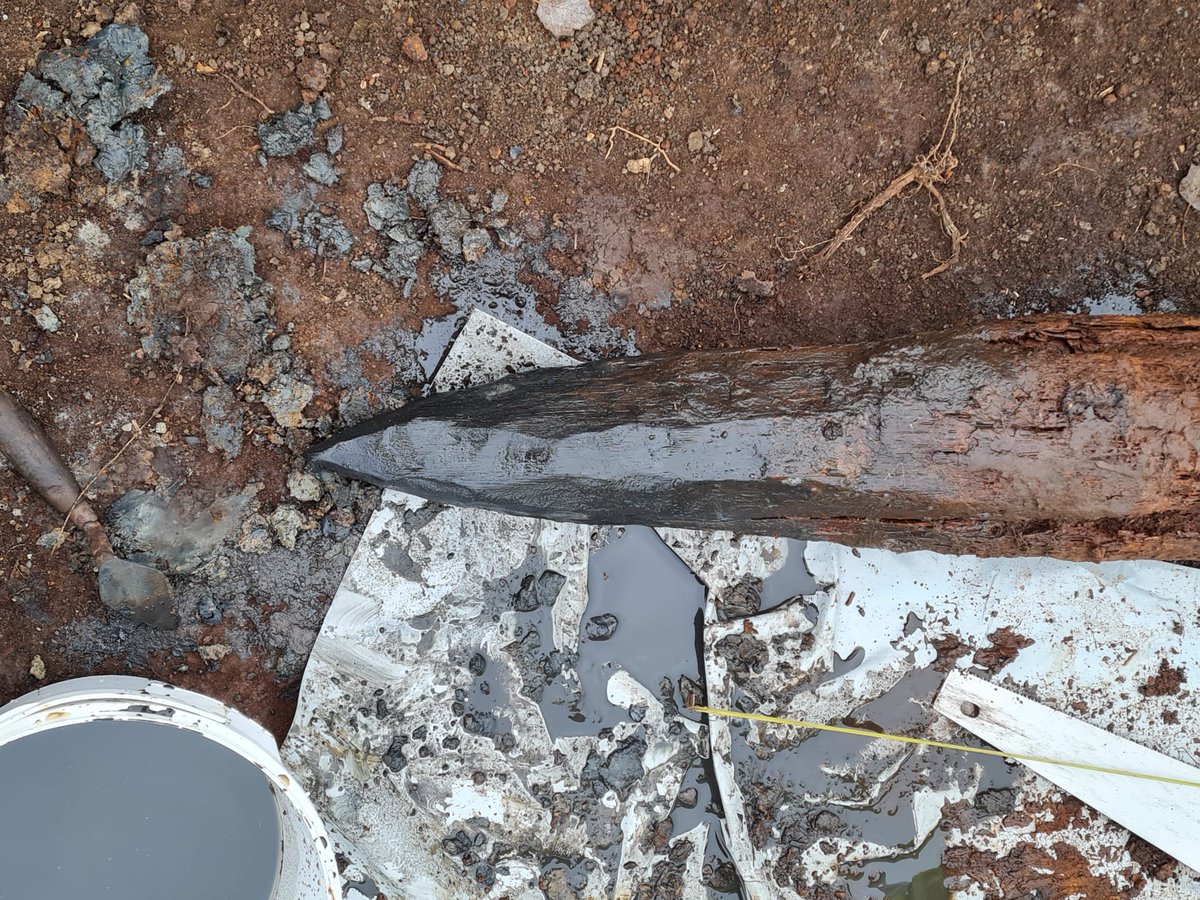 In Trench 3 we’ve removed several of the upright timbers that make up the <a href="/Flag_Fen/">Flag Fen Archaeology Park</a> post alignment. This post is most likely oak and still has the beautifully shaped tip, complete with the impressions left behind by the axes that made it.