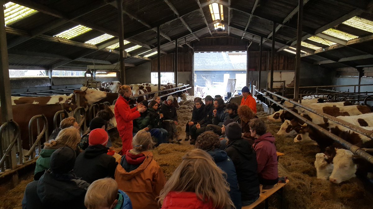 Op de tuinderij nu weinig werk. Daarom meegewerkt met het Grond Verbond. Fijne lunch en werkbespreking tussen de koeien.