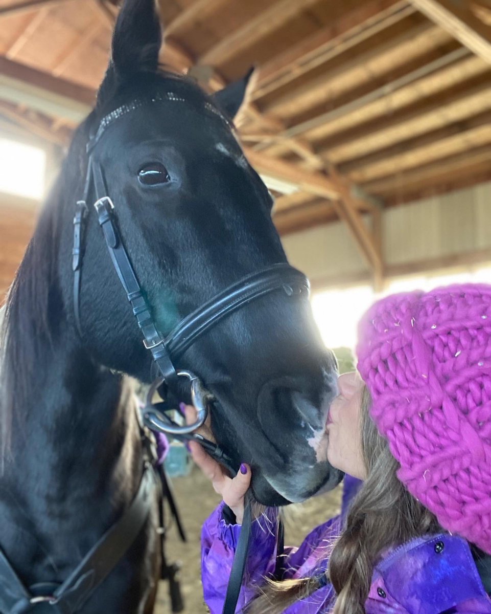 tammibphd's tweet photo. Day of the horse!💜 https://t.co/5zojaKnFG9
