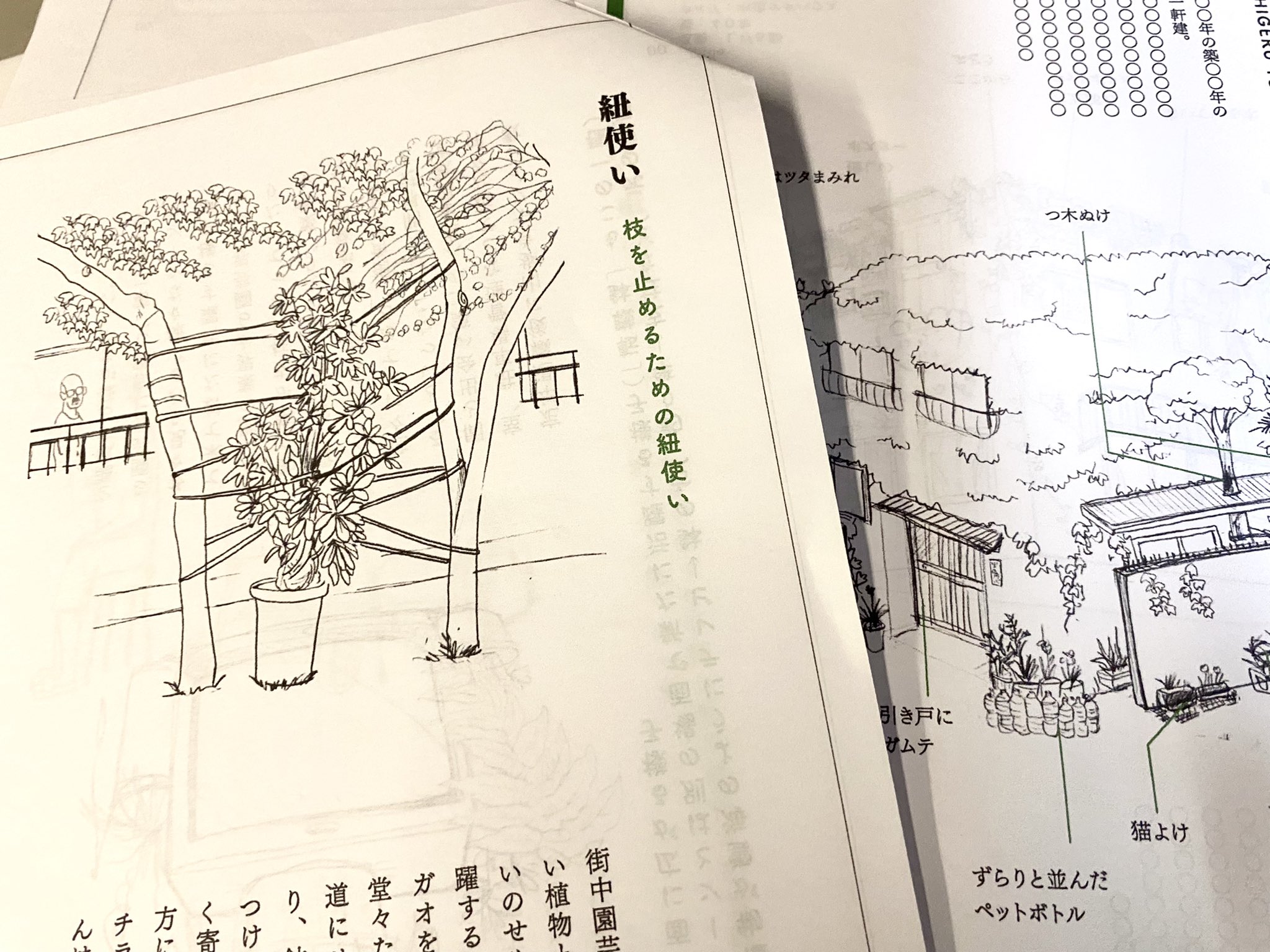 村田あやこ 路上園芸学会 本が出ます 来年3月 雷鳥社より はみだす緑 黄昏の路上園芸 が出ます テーマは 鉢植えの背後には 人間ドラマがある 主人公 たむら が住む 架空の街のクセ強な住人たちの路上園芸を愛で歩く本です イラストと