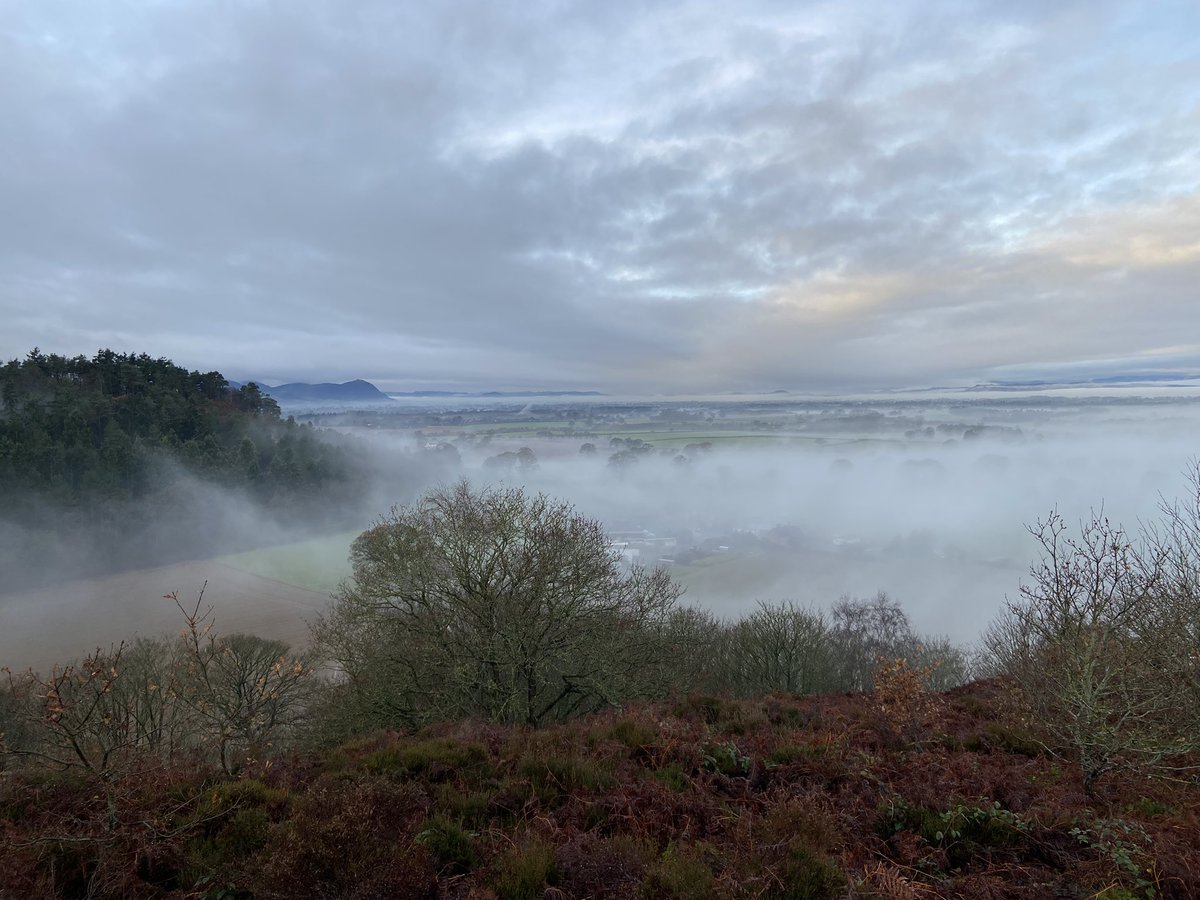 Stephen Aspinall (@basratstea) on Twitter photo Shropshire is looking magical this morning! Shropshire is looking magical this morning!