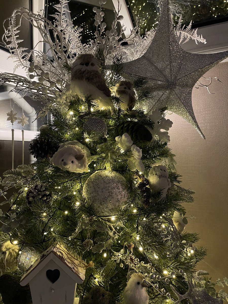 Taylor Rae Interiors tweet media