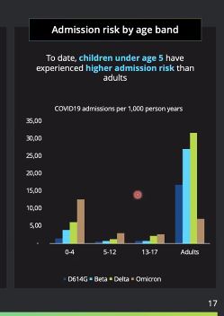 Natasha Loder 🦋🐝 tweet media