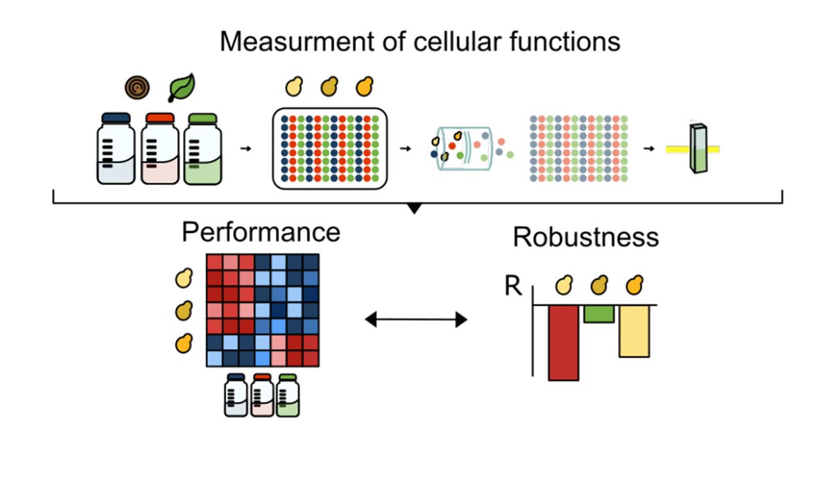 O_Borkowski's tweet photo. Rugbjerg lab: 

Quantification of microbial robustness
https://t.co/cotlE0etA0 https://t.co/n2DMEJlWvU