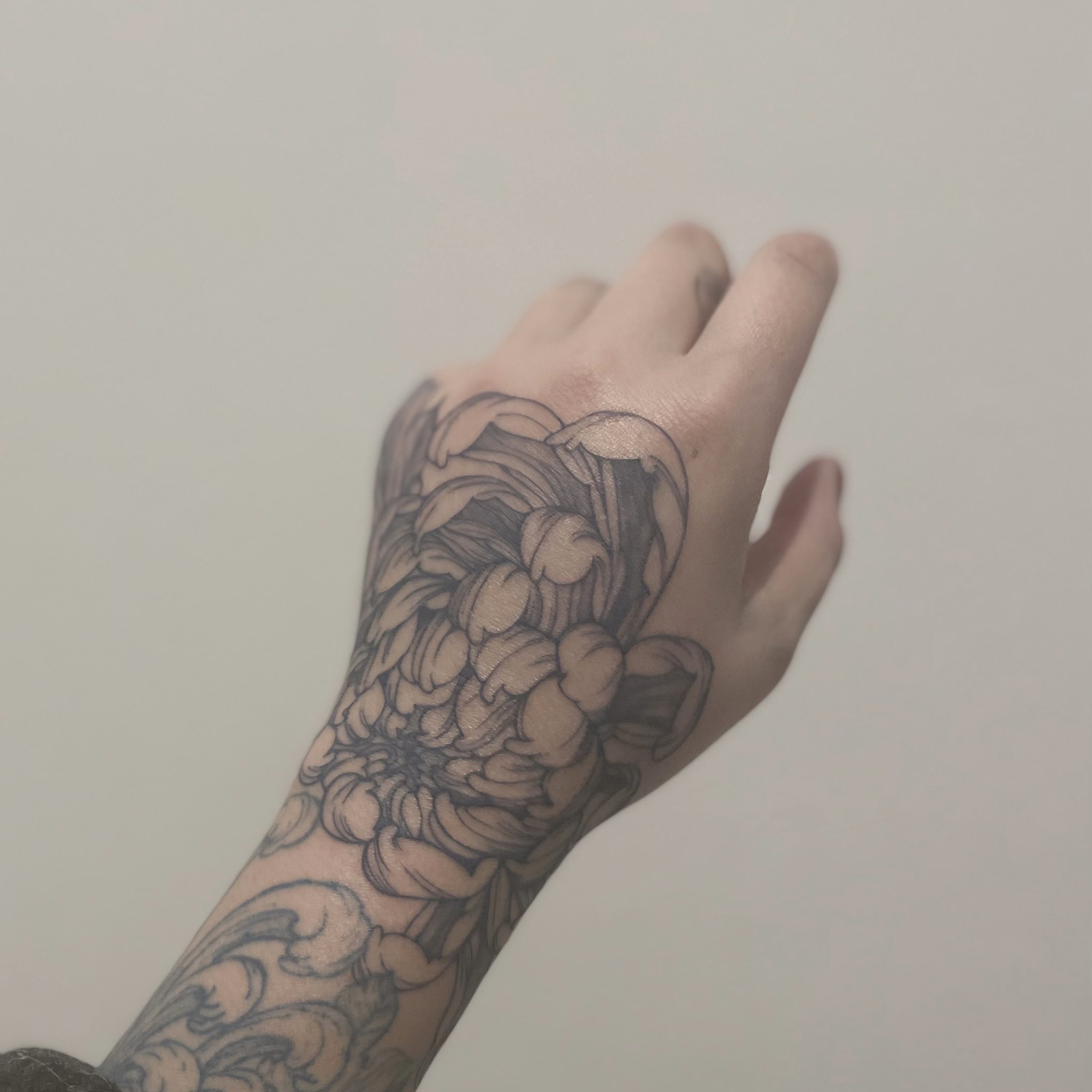 Arrudemo 自彫りで菊を彫りました 手の甲痛いですね いつも耐えてくださってるお客様尊敬です タトゥー好きな人と繋がりたい タトゥー タトゥー女子 女性彫師 大久保 新大久保 刺青 入れ墨 Tattoo T Co 3b9p2orjt8