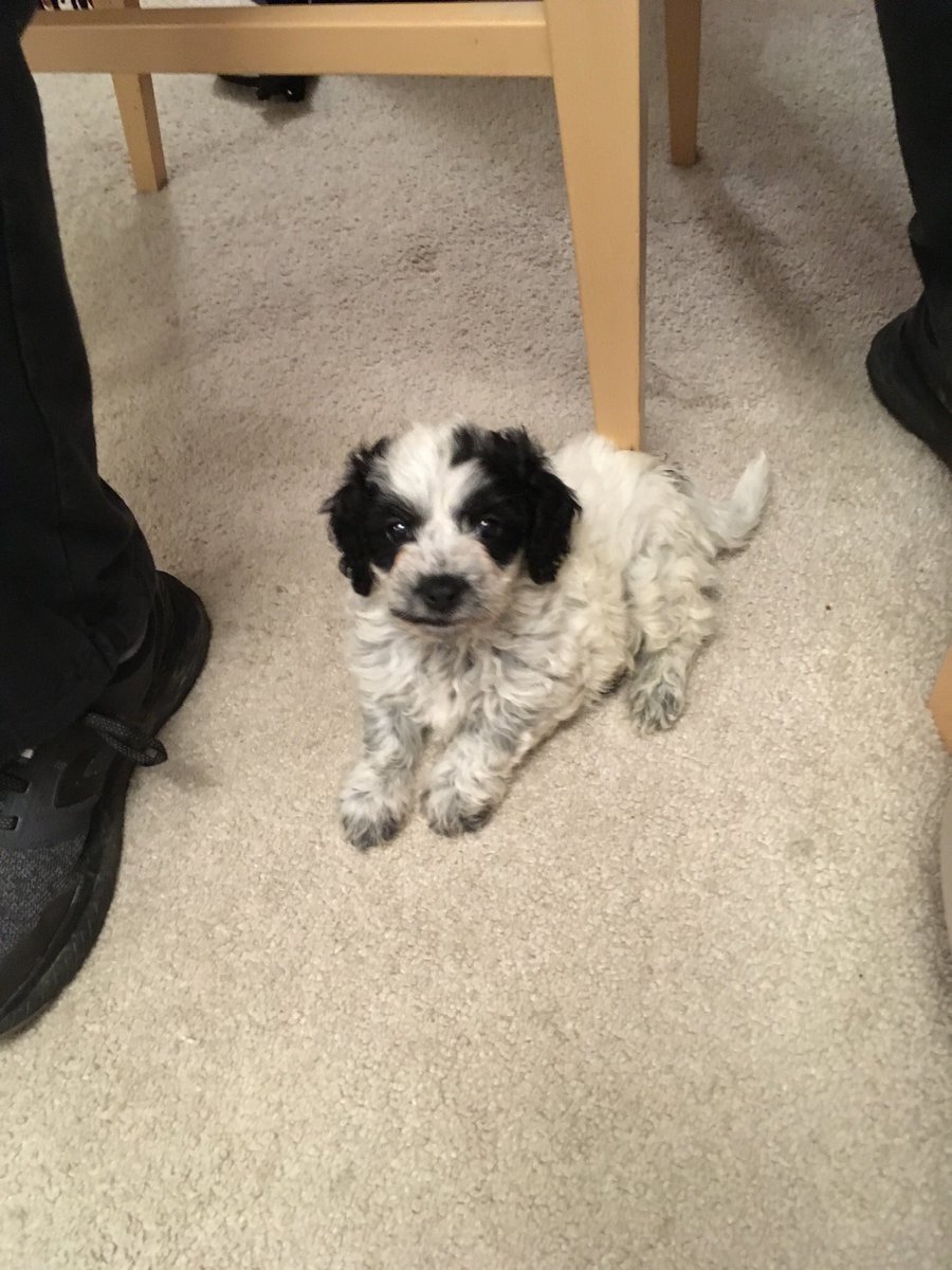 Professor Victoria Joffe tweet media