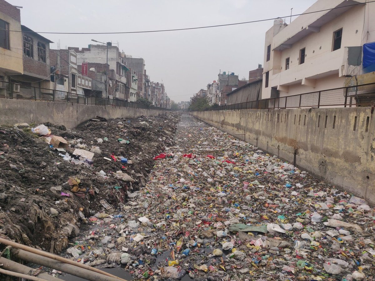 Freebies in Delhi cost lives