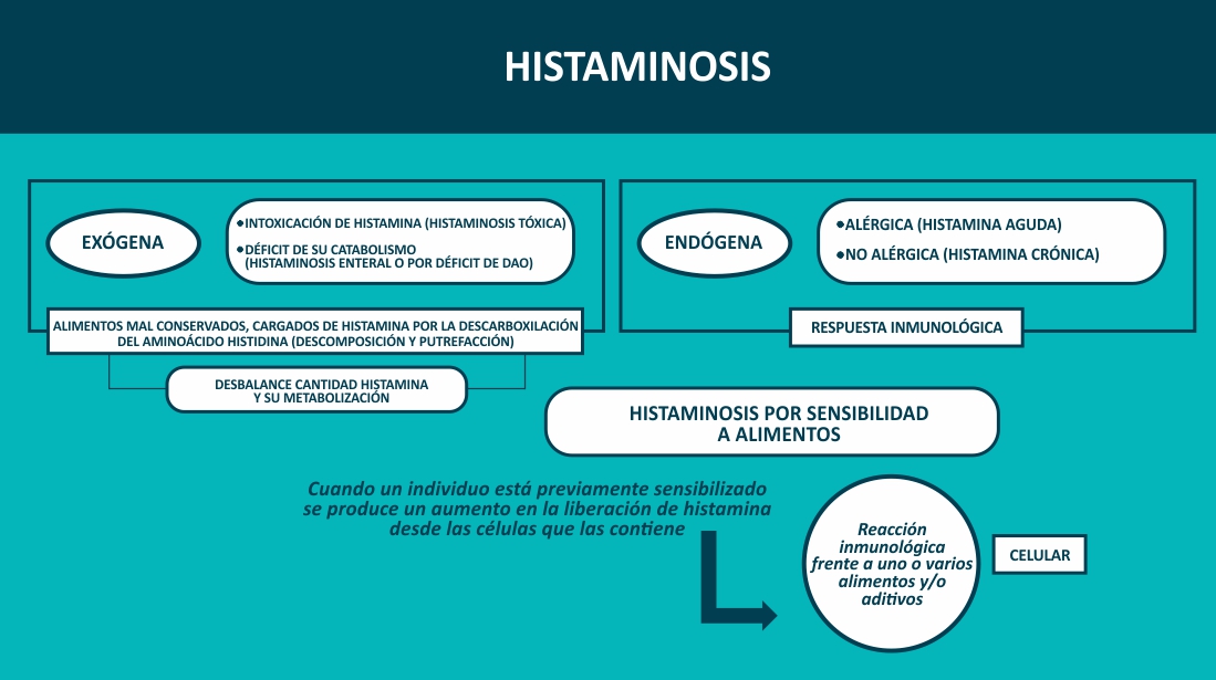 SindromedeSC's tweet photo. ¿Qué es la histamina?

Es una molécula con funciones fisiológicas esenciales. Un importante mediador a nivel central como neuromodulador y neurotransmisor y a nivel del sistema inmunológico como inmunomodulador. 

Más info: https://t.co/LdX10PRud9

#LaHistamina #SHCMedical #SSC https://t.co/zRt5frXlm3