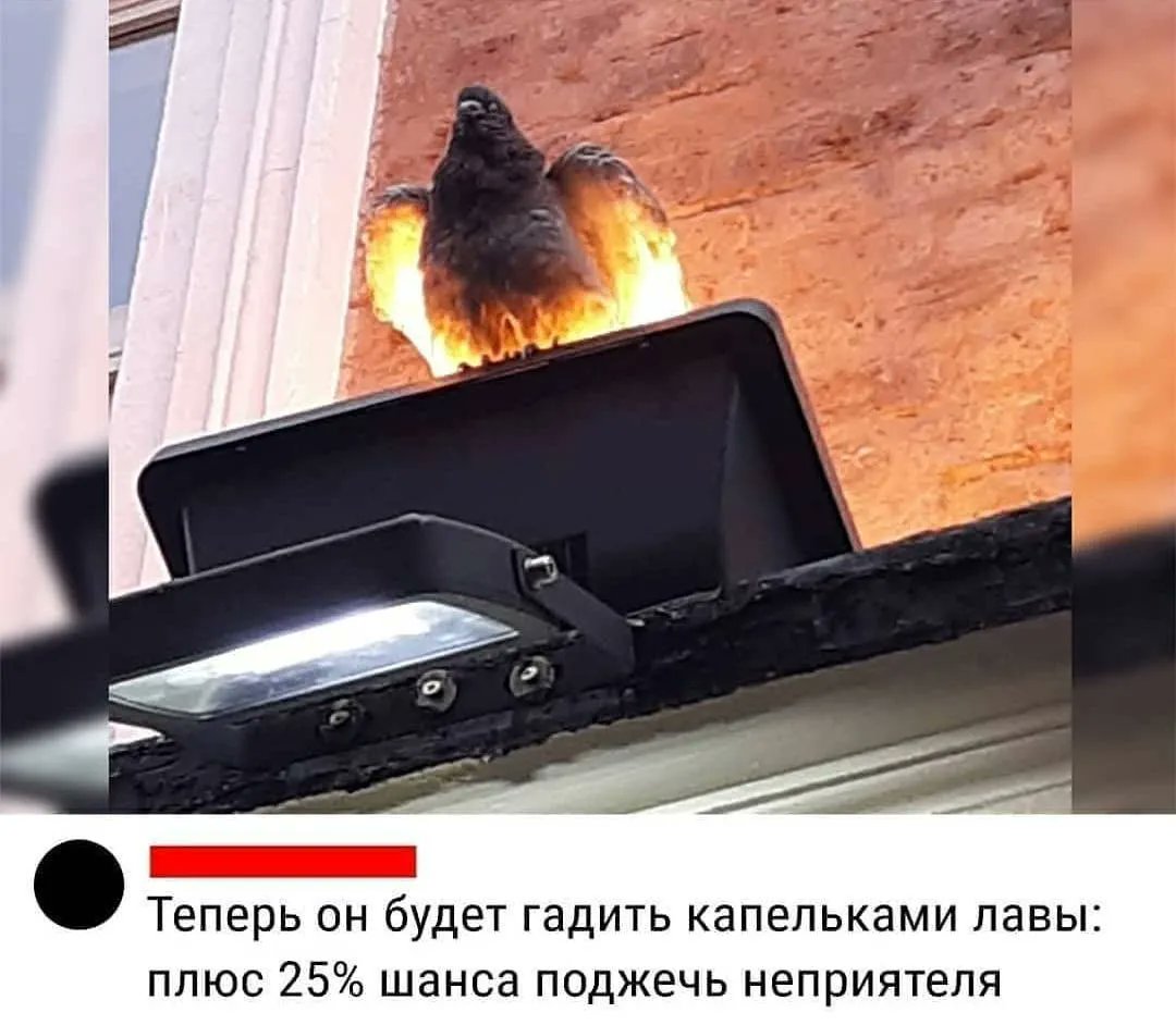 Когда обгадил 10.000 машин и получил через боевой пропуск эпичный огненный скин