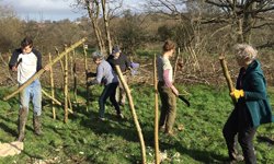 HighWealdNL's tweet photo. *FREE Community Land Management Event 3/2/22* 

Do you manage local parks/gardens/playing fields/churchyards/other community green spaces in the #AONB? 

Get ideas &amp; inspo for conservation projects that cd be funded by #SussexLund grant prog: https://t.co/8NUXXm8rtf @LundTrust https://t.co/EQa3ZPZkSv