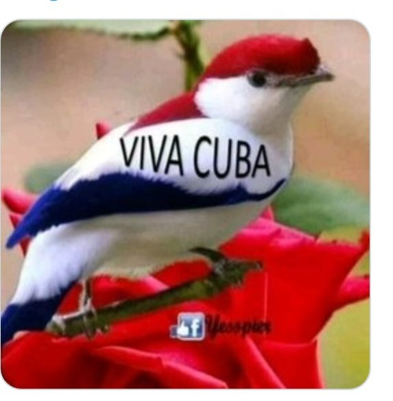TitiRom21's tweet photo. #Comenzo la Cumbre del ALBA TCP, orgullo para América Latina, símbolo de la unidad y cooperación entre los pueblos.#VivaCubaLibre #DefendiendoCuba #CubaRenace#AmigosDeFidel https://t.co/9XUJVdKCSA